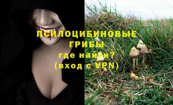 тгк Алзамай