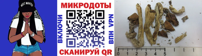 Псилоцибиновые грибы Cubensis Заозёрный